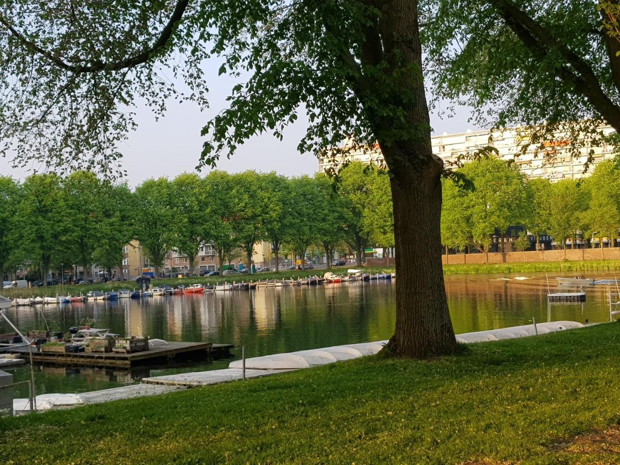 Mi Bnb Amsterdam Zewnętrze zdjęcie