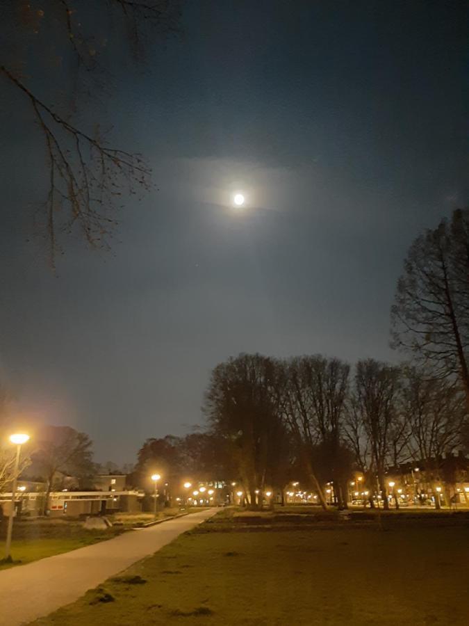 Mi Bnb Amsterdam Zewnętrze zdjęcie
